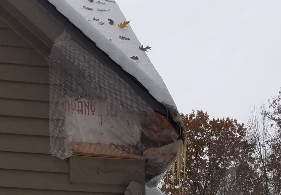 Roof With Fallen Tree Damage